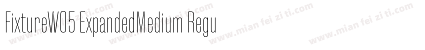 FixtureW05 ExpandedMedium Regular字体转换